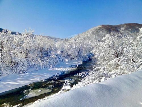 Жива вода, Scheschory (Foto 5)