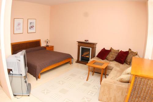 Apartman Bily Kriz in Staré Hamry