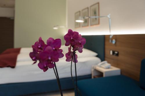 Hotel Stiegl Scala - main image