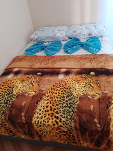 Dani Hostel e Pousada – Maceio, SD