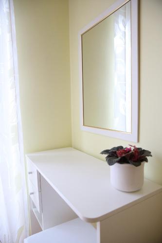 Apartment Zubčić - image 3