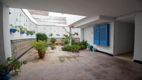 Apartamento Ilusión Andaluza, Córdoba (foto 9)