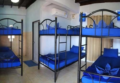 Room in Guest room - Asia Blue - Beach Hostel Hacienda - Bed in 6-bed Mixed Dormitory Room