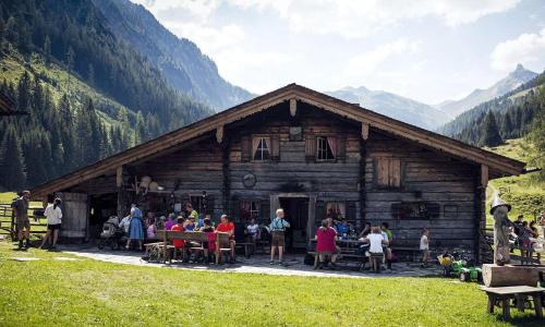 Holiday resort Carpe Solem Rauris - OSB03105i-CYA - image 12