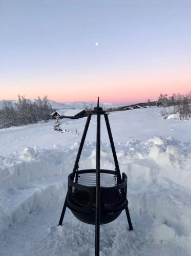 Skarvebo - cabin with amazing view in Myro