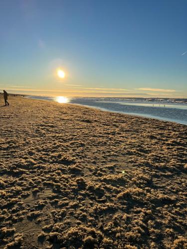 Beach, Northgo apartment in Noordwijk