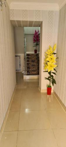 Sheykh hostel in Andizhan