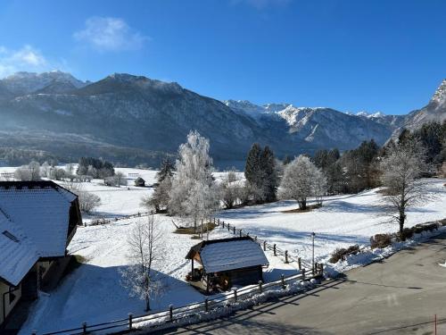 Gloria Holiday - Apartment Bohinj