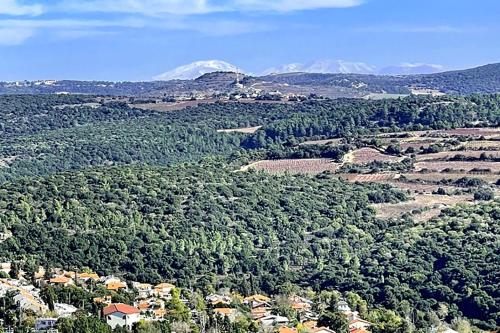 אוויר הרים, Kefar Weradim (photo 3)