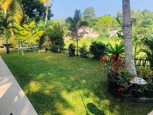 Mirissa Paddy House