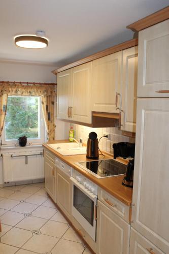 廚房, Ferienwohnung Schmalzgrube in 約施塔特