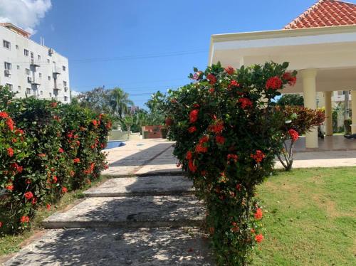 Beautiful Dreams Marina Garden Boca Chica
