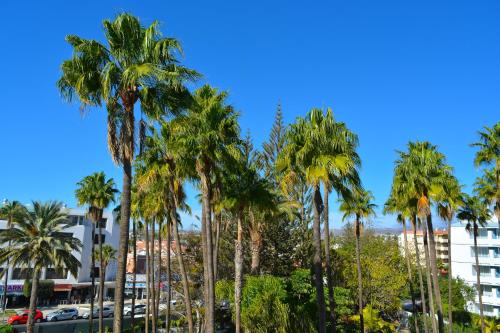 Playa Del Sol - Adults Only - image 4
