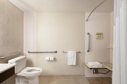 Photo - Holiday Inn Express & Suites Sarasota East, an IHG Hotel