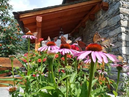  Baita Carnale, Montagna in Valtellina in Cà Paini