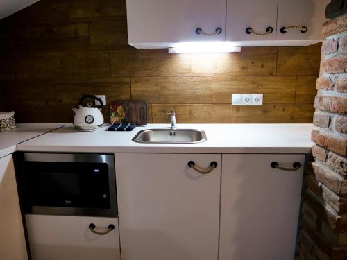 Apartmánový dům 13 Mezonet 1 (Apartmanovy dum 13 Mezonet 1) in เซซ