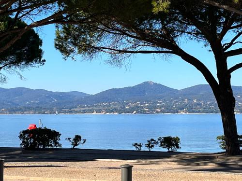 PORT GRIMAUD GOLFE ST TROPEZ BEL APPARTEMENT