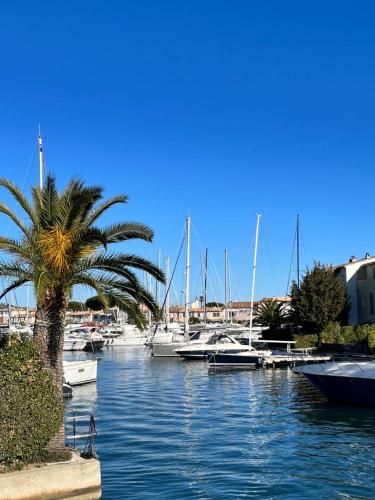 PORT GRIMAUD GOLFE ST TROPEZ BEL APPARTEMENT