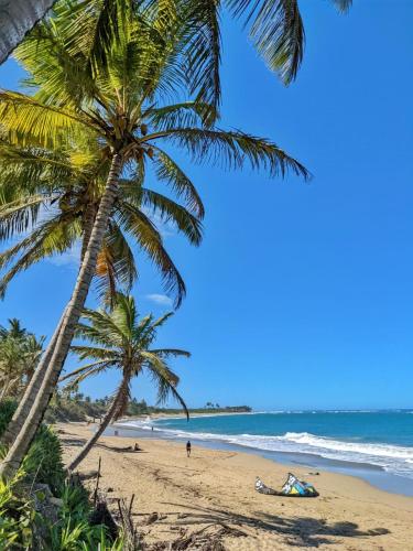 Beach, Dulce Vida Cabarete in Cabarete