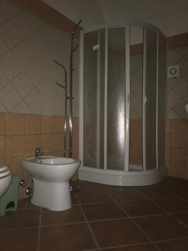 Domus