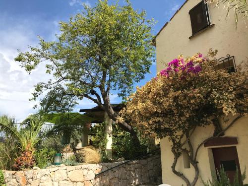 Maison campagne Menton
