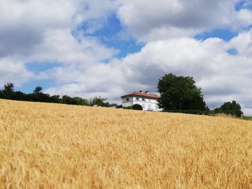 Cascina Variasca gîte à louer Calcini