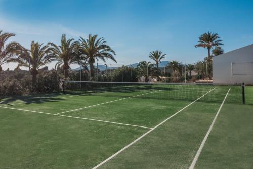 Iberostar Cala Domingos - image 9
