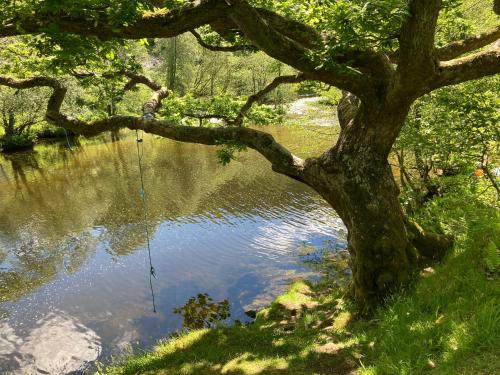 Riverbank Bed and Breakfast in Llanwrtyd Wells