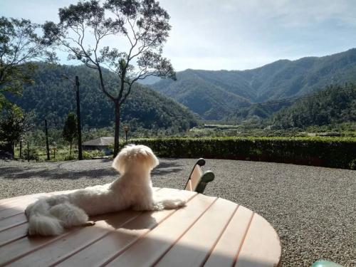 松霖渡假农庄  松霖渡假农庄