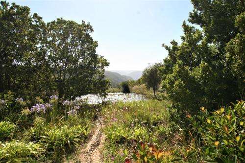 Aed, Colourful BnB in Plettenberg Bay