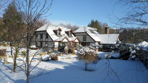 Tudor Lodge B&B - image 2
