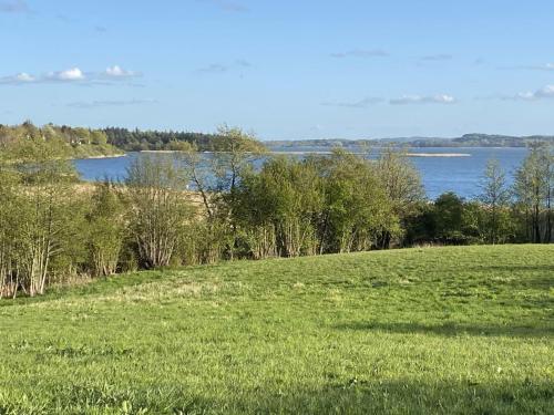Leichte Brise in Brodersby (Schleswig-Holstein)
