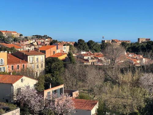 Collioure, bel appartement de 40m2 avec balcon et parking, Collioure (foto 4)