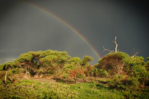 South Okavango - Omogolo Hideaways