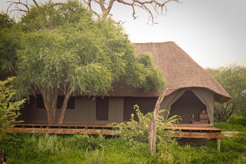 South Okavango - Omogolo Hideaways