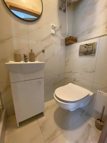 浴室, Apartament Kominkowy przy Parku in 波烏琴-茲德魯伊