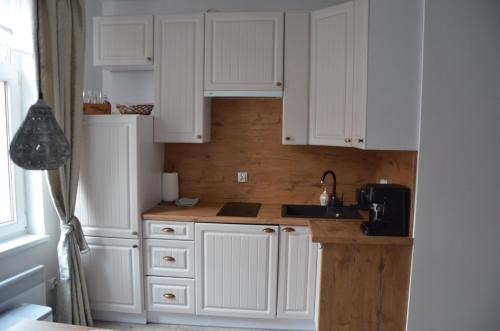 Apartament Kominkowy przy Parku in 波烏琴-茲德魯伊