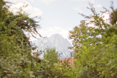 Bavaria Biohotel - image 8