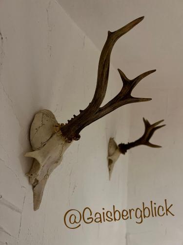 Landgasthof Klausner, Unterkunft in Molln