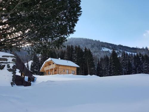 Luxurious chalet in Hohentauern Styria with sauna and ski in ski out - Chalet - Hohentauern
