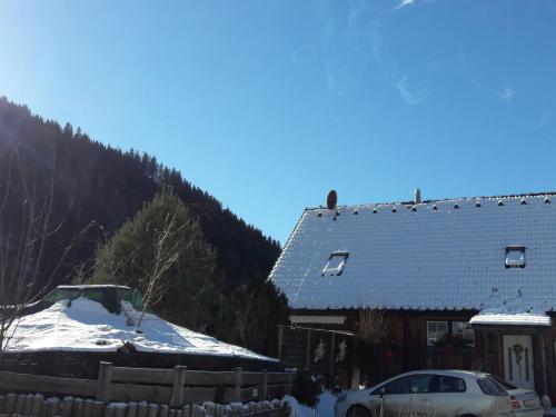 Chalet in Stadl an der Mur Styria with sauna