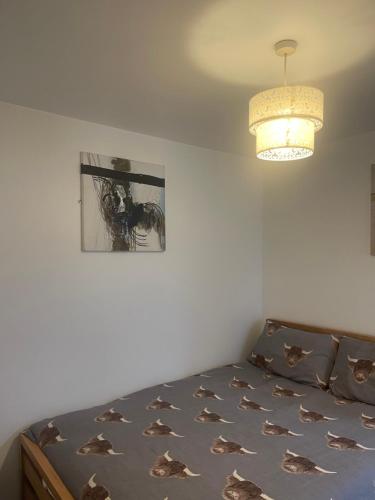 2 Bed Flat Right in Centre of Portrush town, Portrush (Foto 9)
