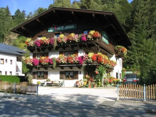 Apartment in Saalbach near Ski Slopes in Saalbach-Hinterglemm, Österreich