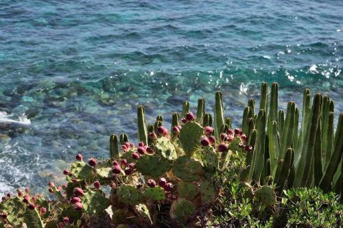 Aparthotel El Cerrito - image 8