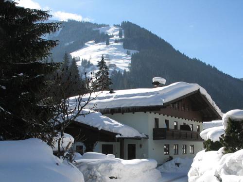  Apartment in Salzburgerland near the ski area in Viehhofen