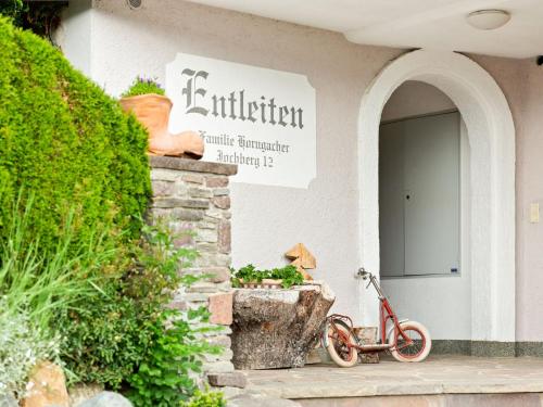Apartment in Hollerbach near Kitzbühel Ski Lift, Hollersbach im Pinzgau (foto 10)