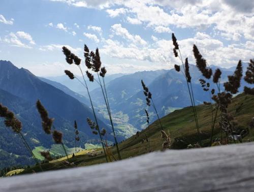 Almgasthaus Flecknerhütte