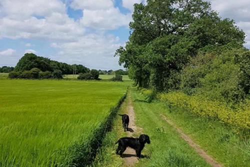 Super cute and cosy one bedroom barn nr Southwold