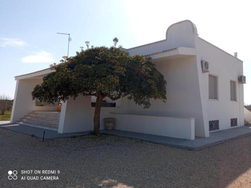 Abaton - casa vacanze gîte à louer Metaponto