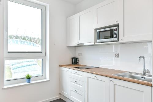 One-Bedroom Apartment image 8